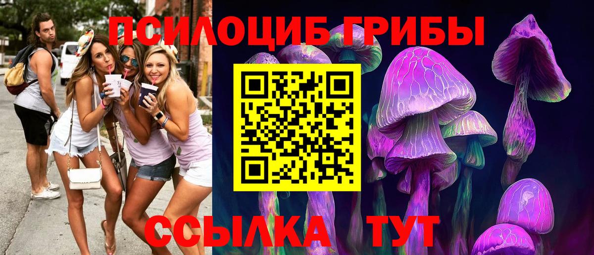 Галлюциногенные грибы ЛСД  Вход с VPN  Псилоцибиновые грибы Cubensis  Щёлково 